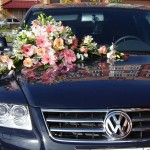 авто кравцу